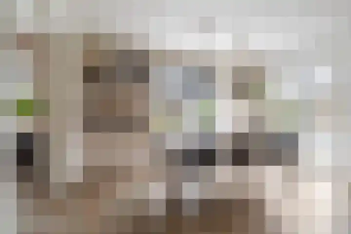 Nieuweweg 6 Ried thumbnail 11