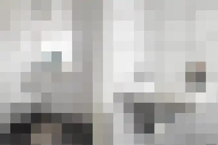 Nieuweweg 6 Ried thumbnail 28