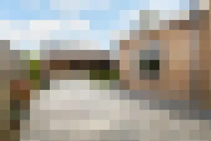 Nieuweweg 6 Ried thumbnail 30