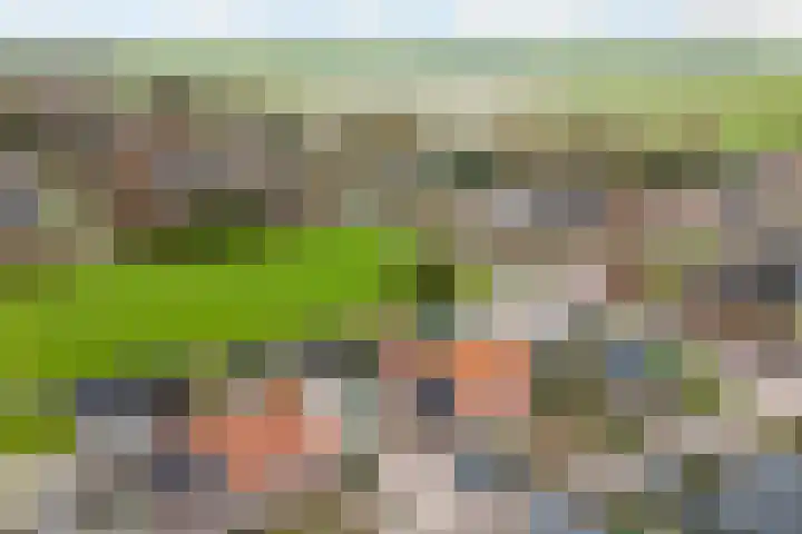 Nieuweweg 6 Ried thumbnail 41