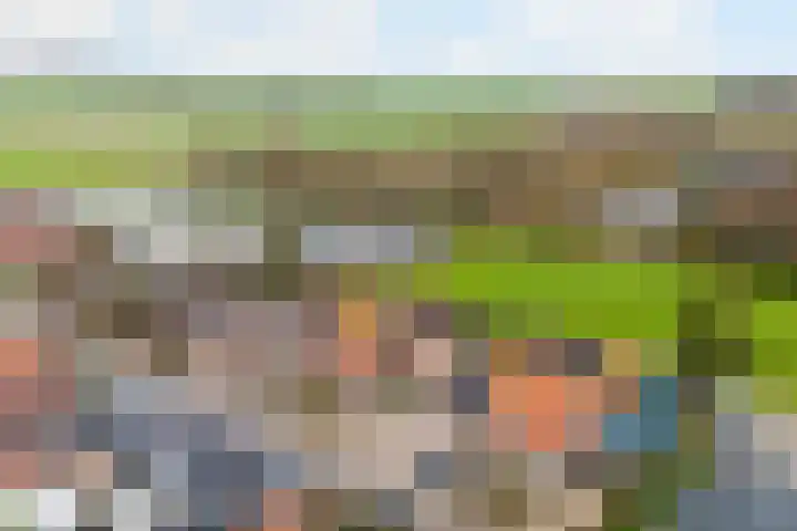 Nieuweweg 6 Ried thumbnail 42