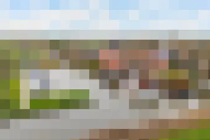 Nieuweweg 6 Ried thumbnail 44