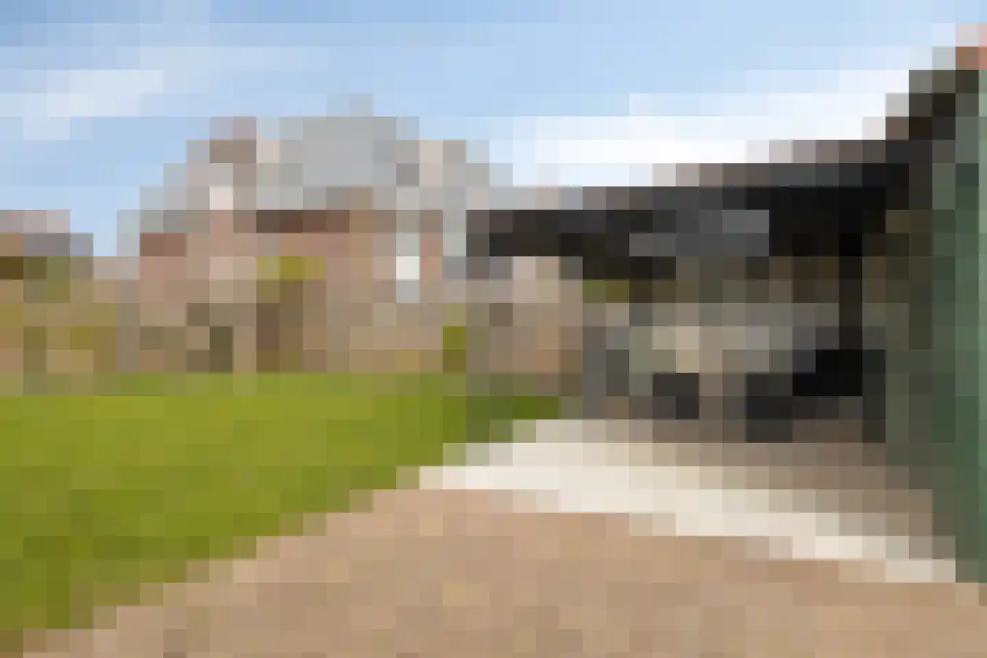 Nieuweweg 6 's-Gravendeel thumbnail 32