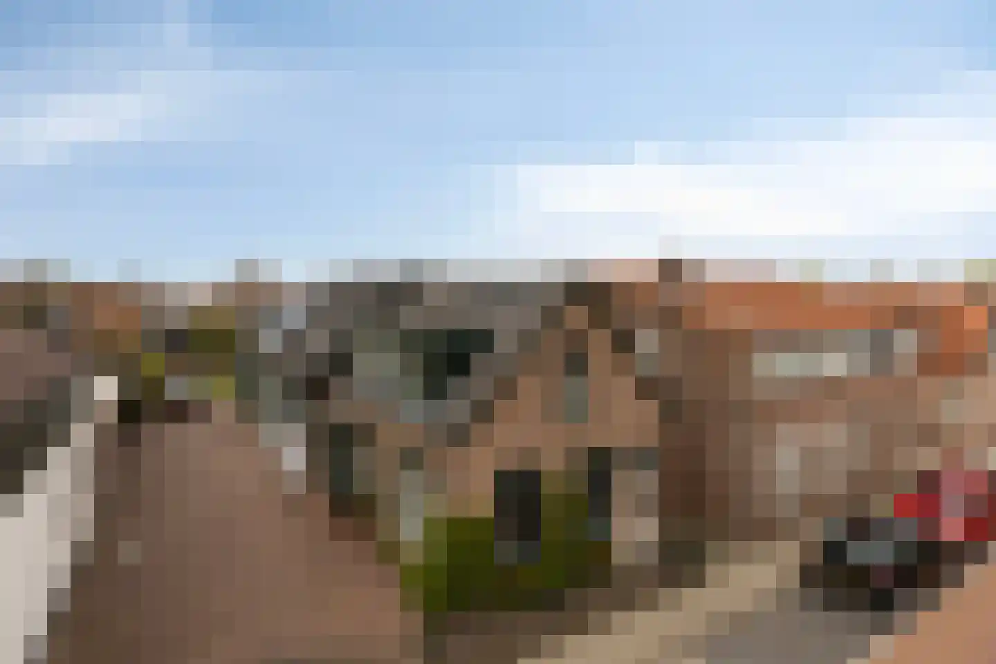 Nieuweweg 6 's-Gravendeel thumbnail 6