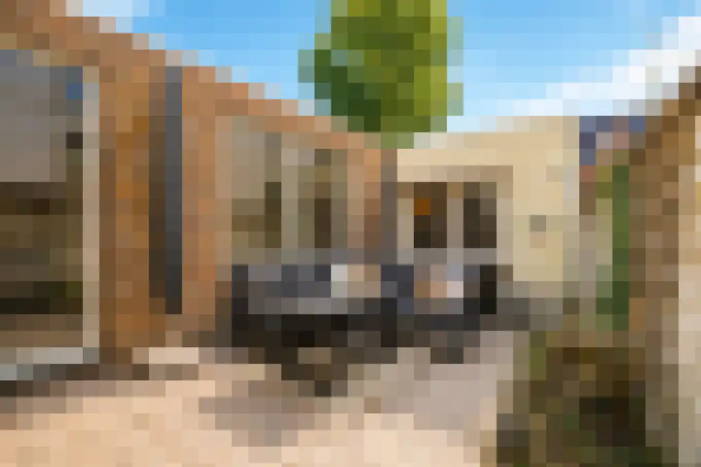 Nieuweweg 6 Valkenburg thumbnail 13