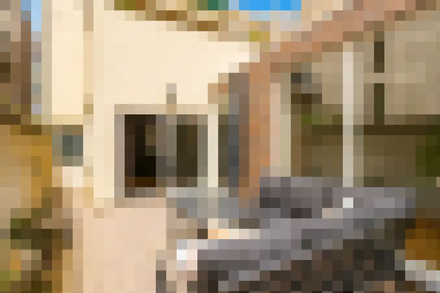 Nieuweweg 6 Valkenburg thumbnail 14