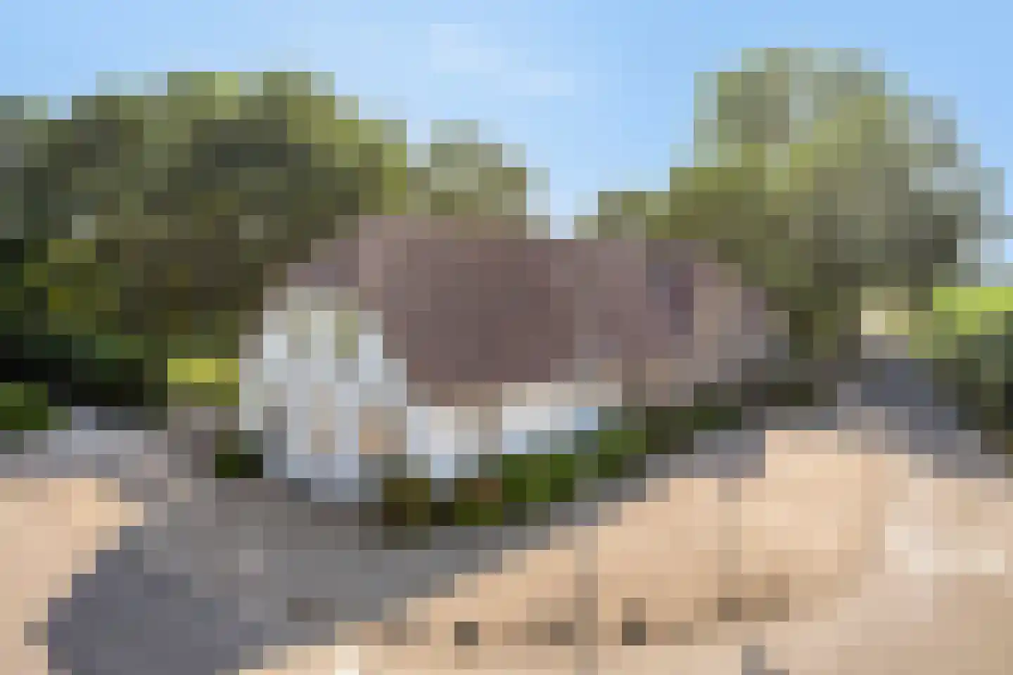 Nieuweweg 6 Wamel thumbnail 4