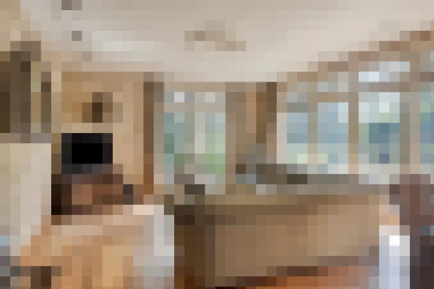 Nieuweweg 6 Wamel thumbnail 8