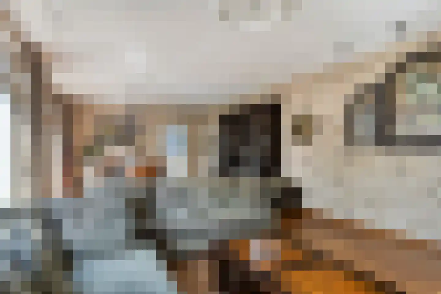 Nieuweweg 6 Wamel thumbnail 9