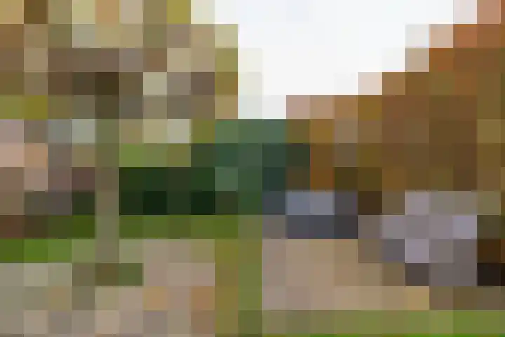 Nieuweweg 60 Muntendam thumbnail 61