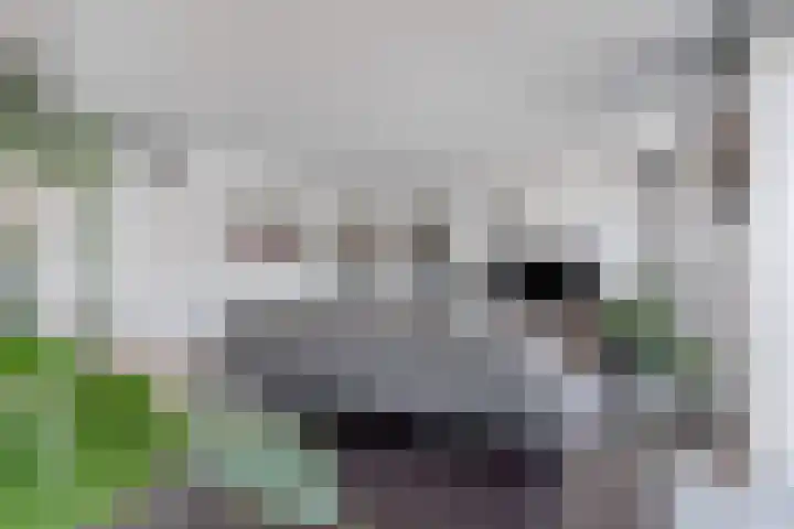 Nieuweweg 61 Breda thumbnail 8