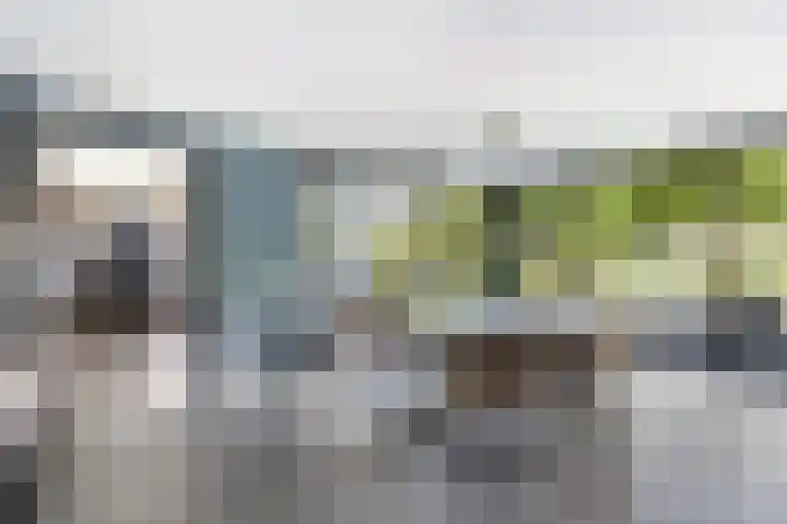 Nieuweweg 62 Melissant thumbnail 11