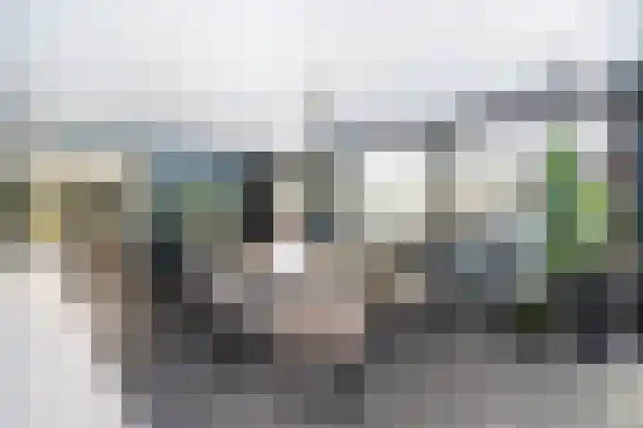 Nieuweweg 62 Melissant thumbnail 13