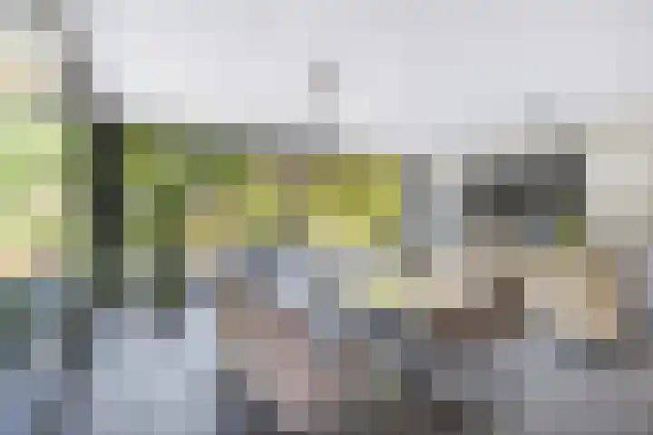 Nieuweweg 62 Melissant thumbnail 4
