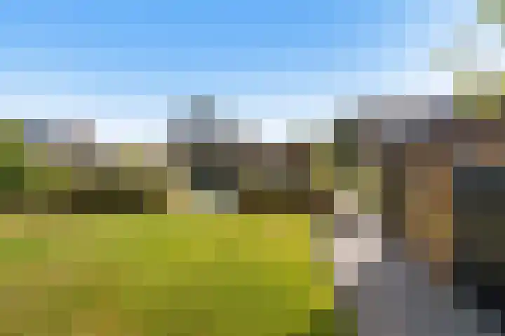 Nieuweweg 62 Melissant thumbnail 40