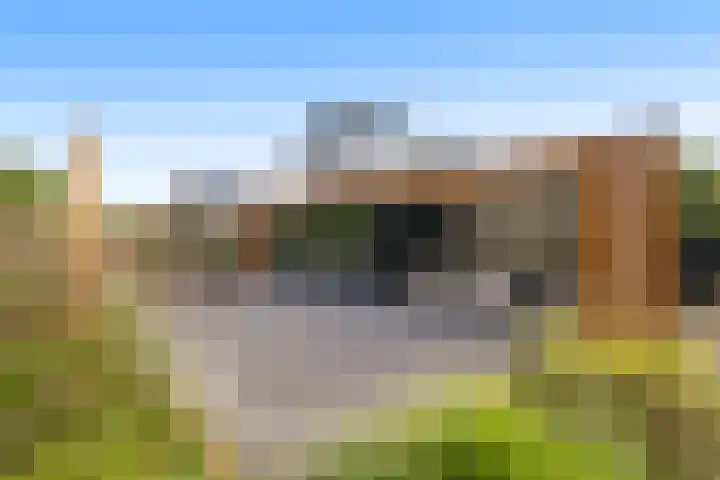 Nieuweweg 62 Melissant thumbnail 41