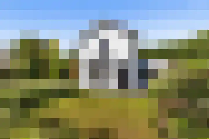 Nieuweweg 62 Melissant thumbnail 53