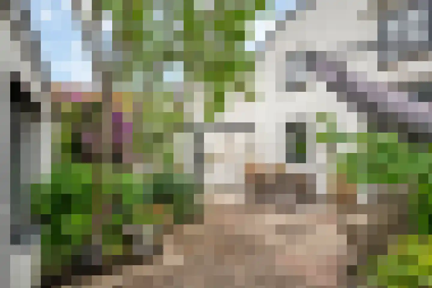 Nieuweweg 63 Tiel thumbnail 32