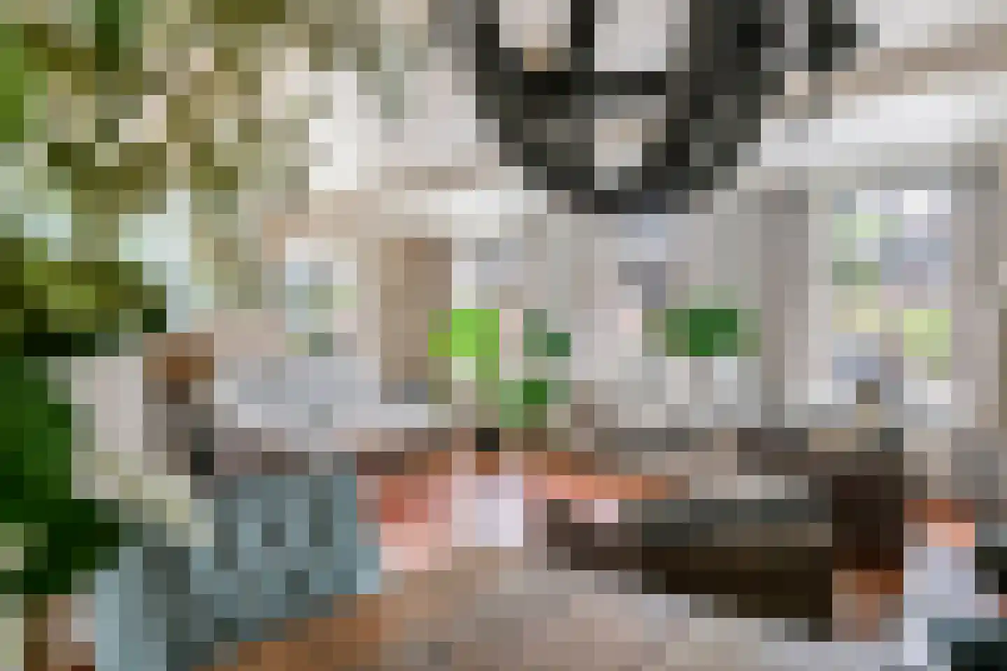 Nieuweweg 63 Tiel thumbnail 4