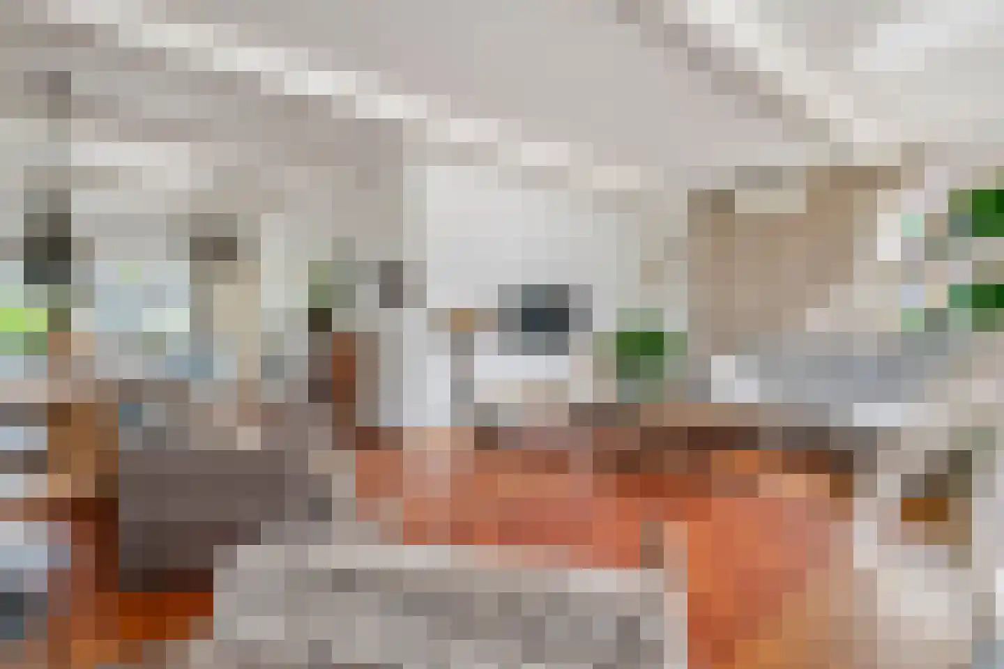 Nieuweweg 63 Tiel thumbnail 5