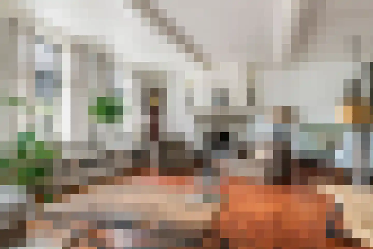 Nieuweweg 63 Tiel thumbnail 6