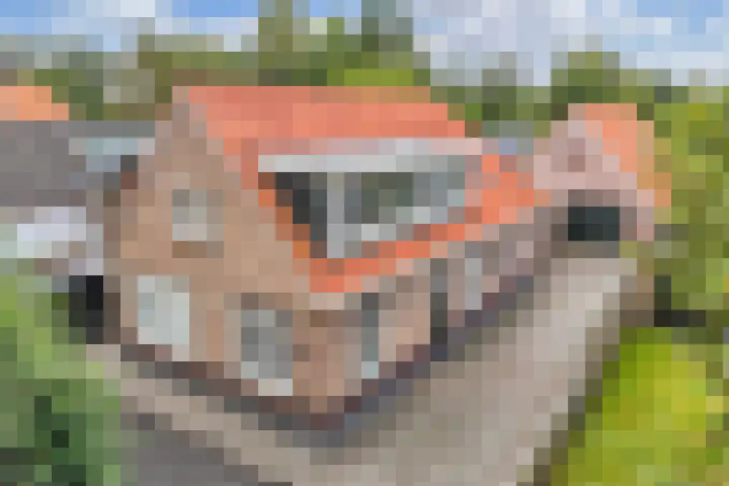 Nieuweweg 64 Noordwolde thumbnail 4