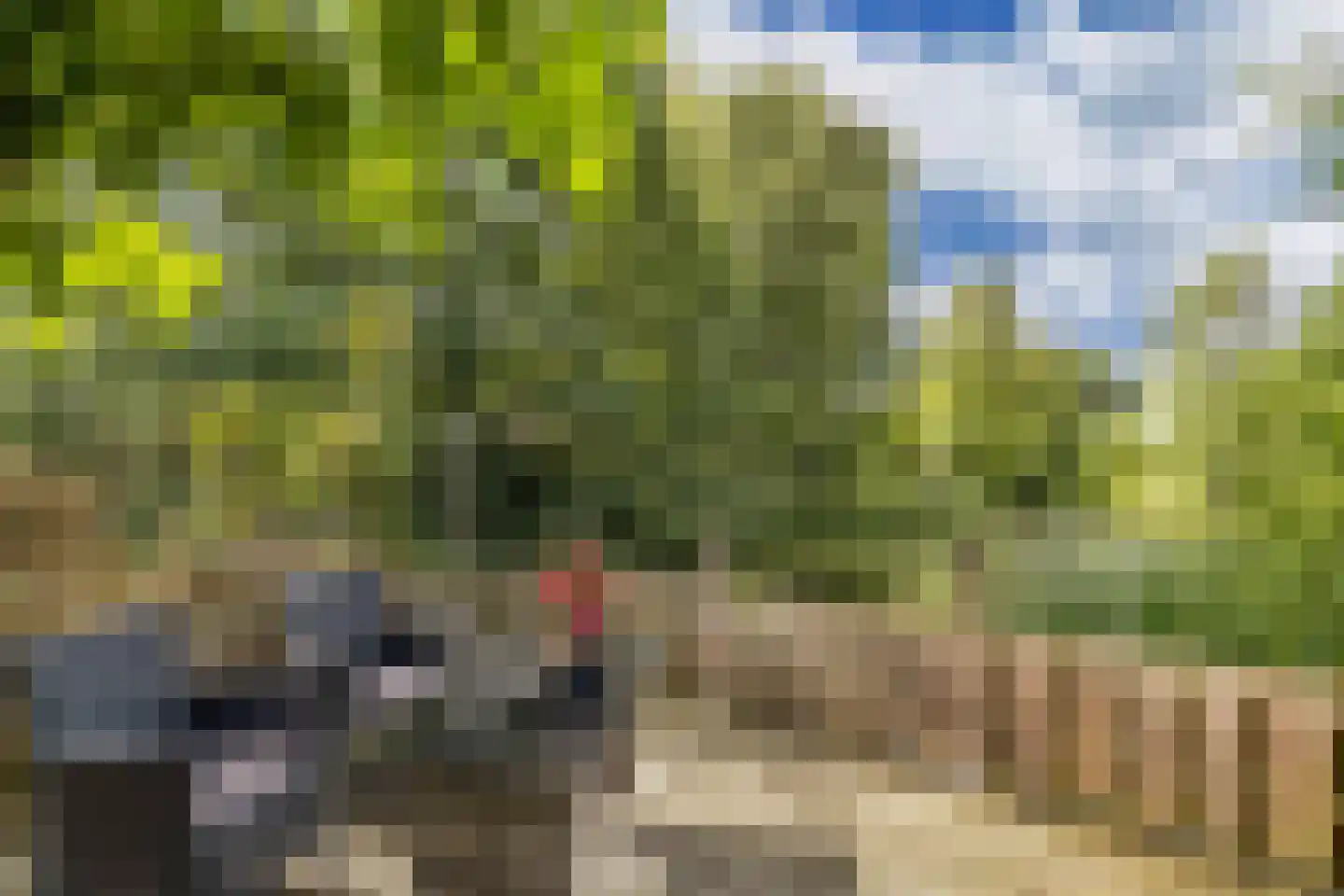 Nieuweweg 64 Noordwolde thumbnail 49