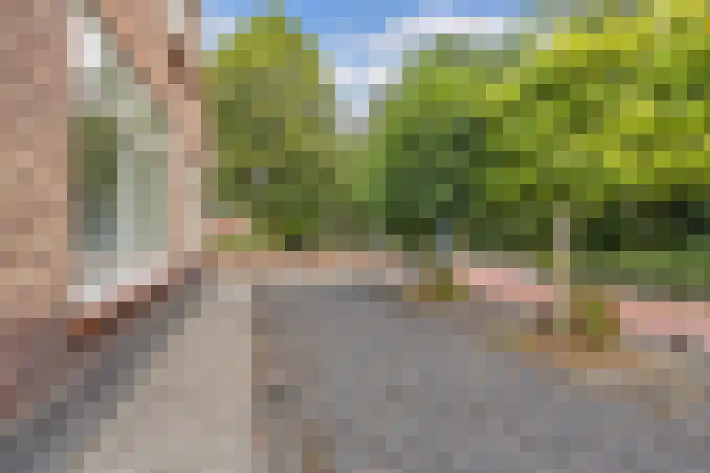 Nieuweweg 64 Noordwolde thumbnail 7
