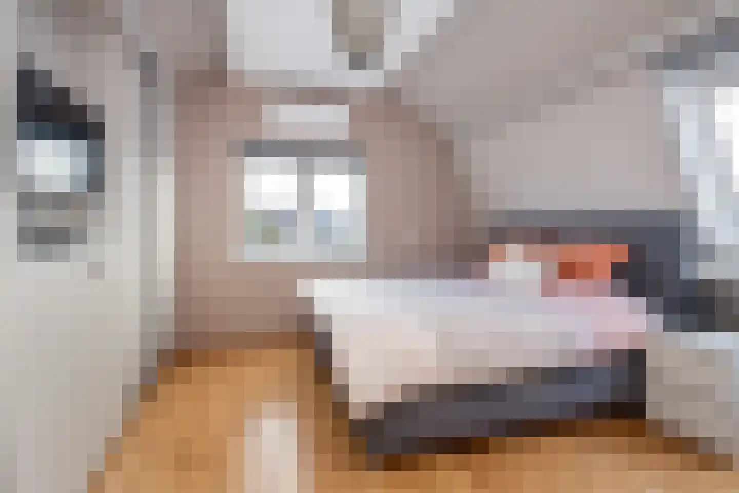 Nieuweweg 65 Hoogkarspel thumbnail 22