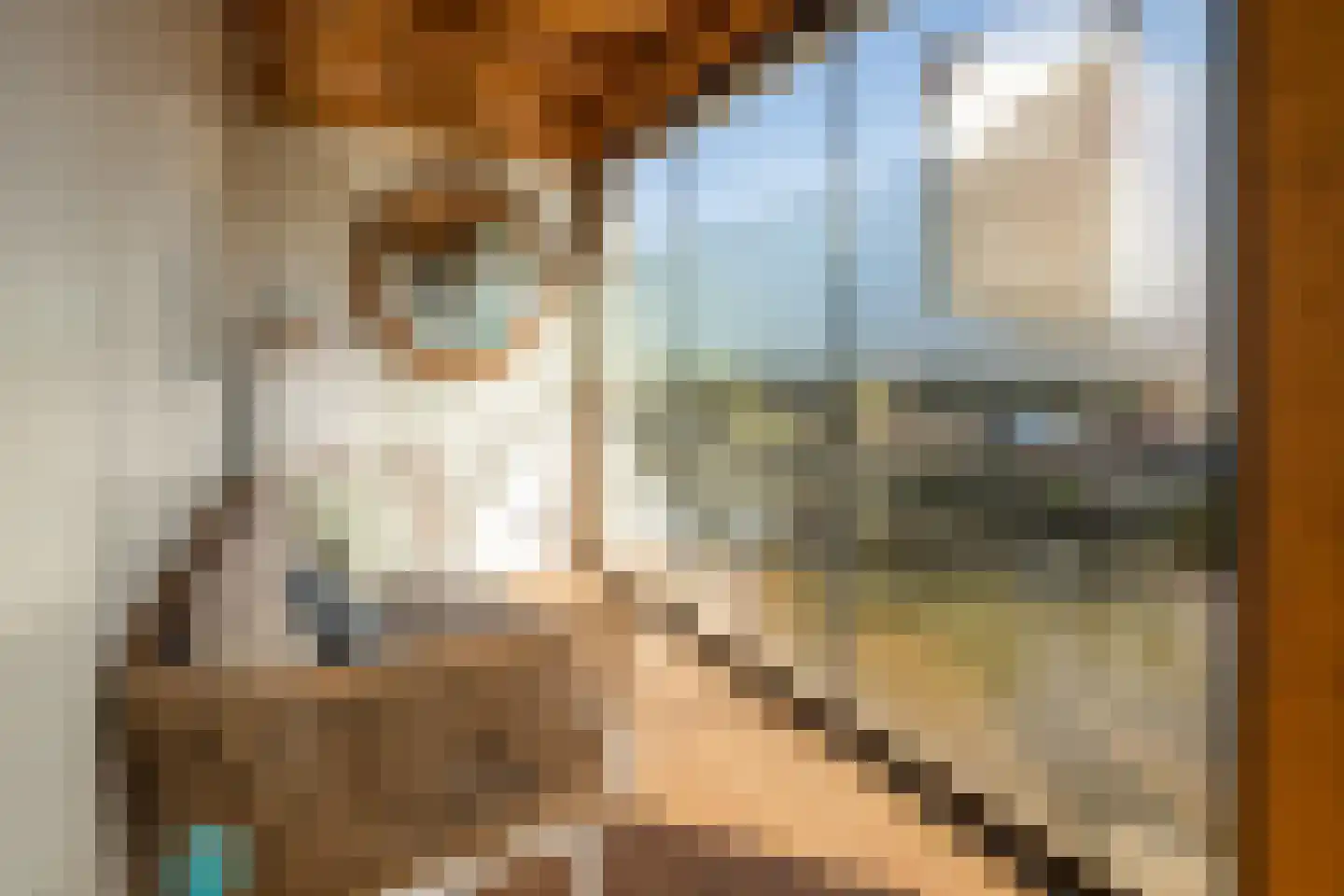 Nieuweweg 65 Hoogkarspel thumbnail 41