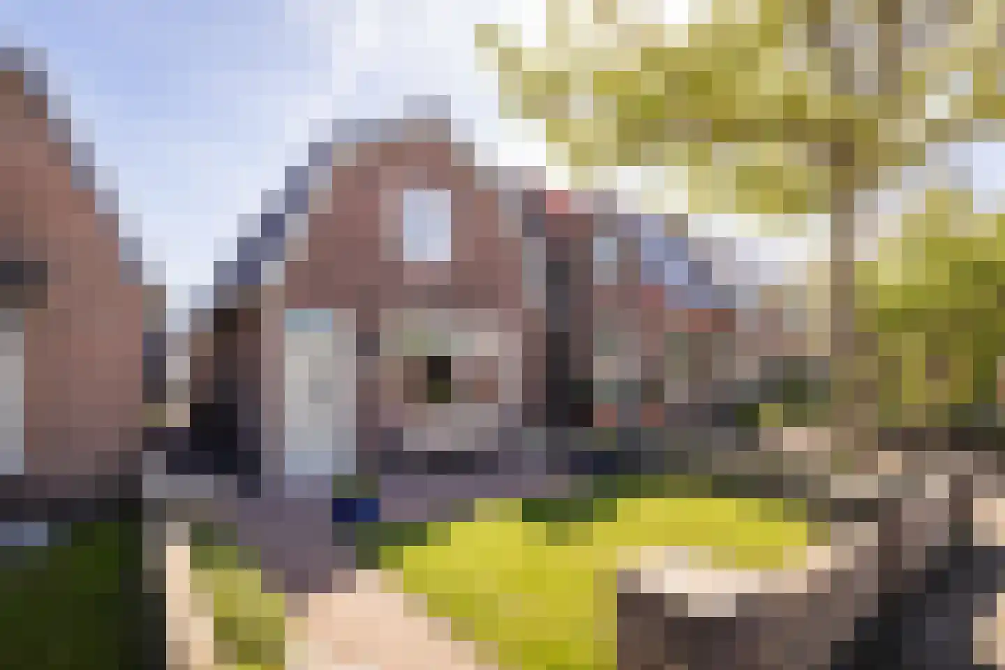Nieuweweg 65 Hoogkarspel thumbnail 46