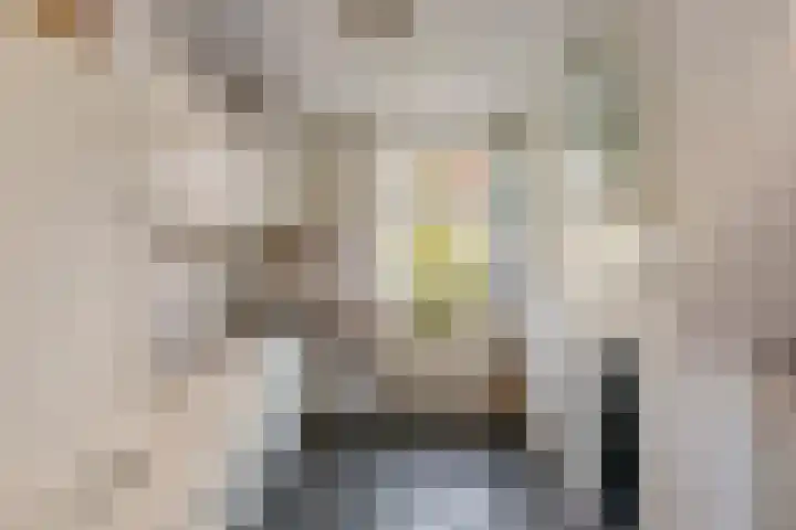 Nieuweweg 66 Tiel thumbnail 10