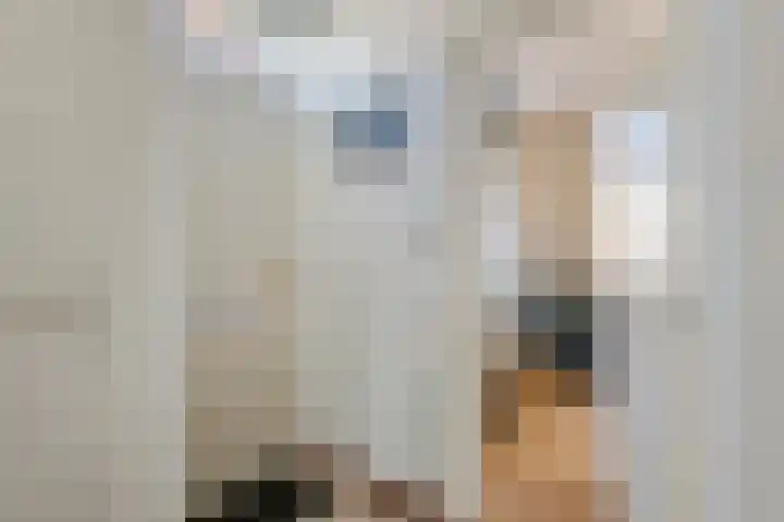Nieuweweg 66 Tiel thumbnail 15