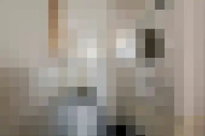 Nieuweweg 66 Tiel thumbnail 16