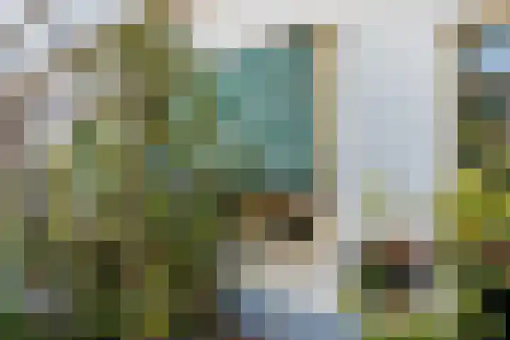 Nieuweweg 66 Tiel thumbnail 4