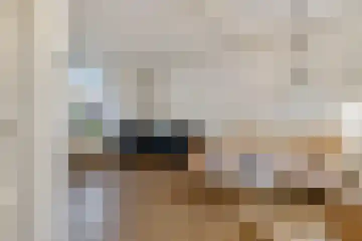 Nieuweweg 66 Tiel thumbnail 5