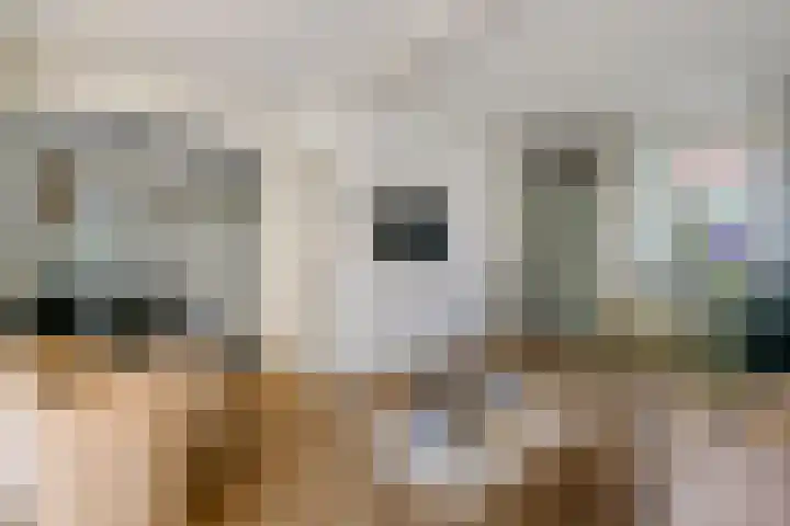Nieuweweg 66 Tiel thumbnail 6