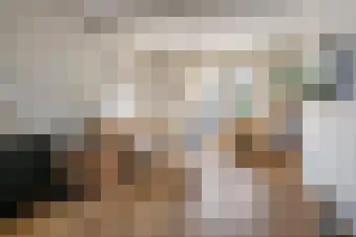 Nieuweweg 66 Tiel thumbnail 7