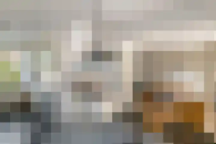 Nieuweweg 66 Tiel thumbnail 9