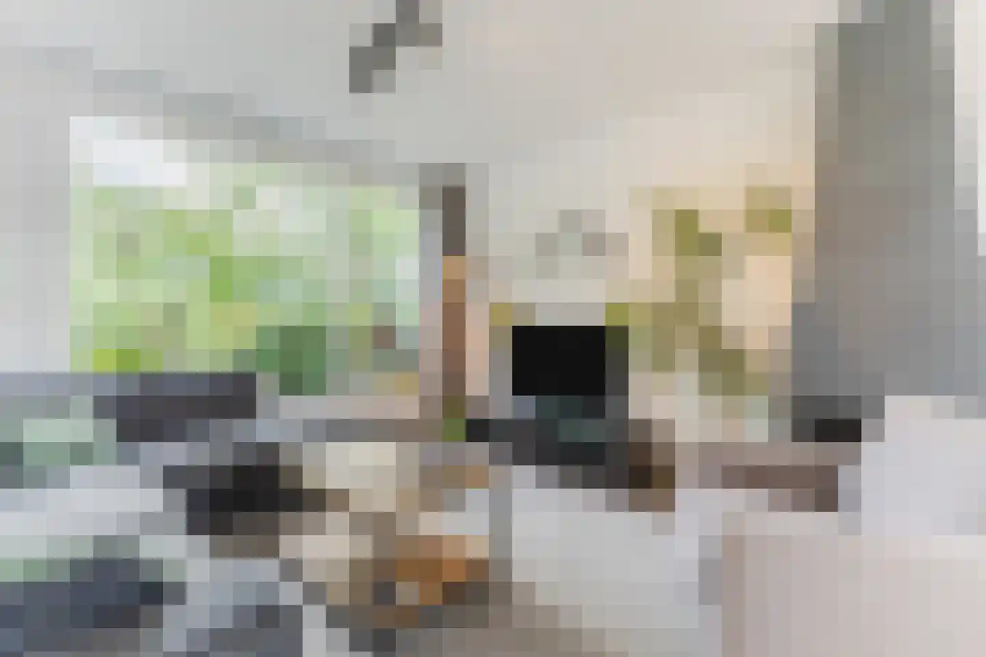 Nieuweweg 7 Oostvoorne thumbnail 13
