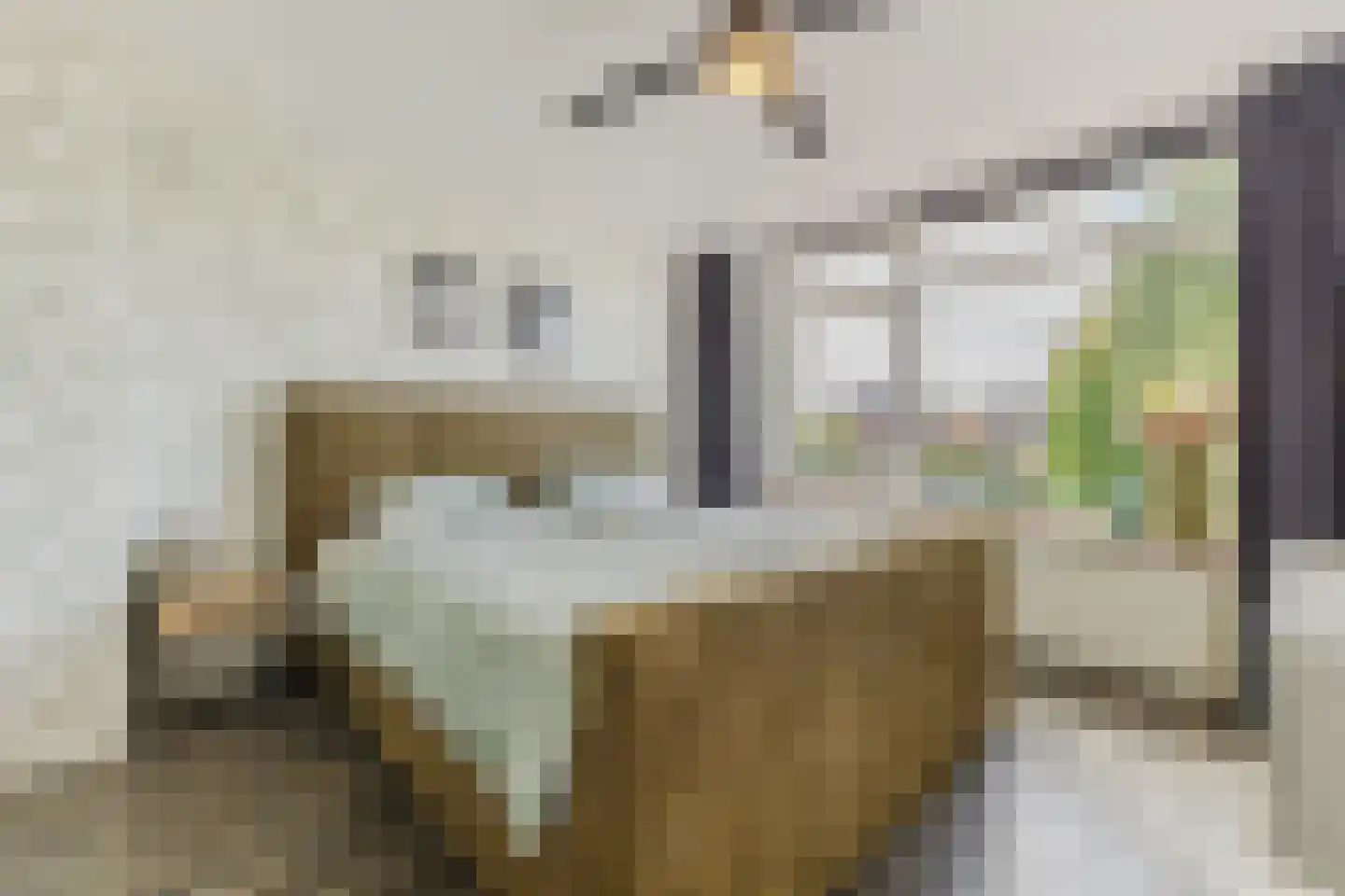 Nieuweweg 7 Oostvoorne thumbnail 27