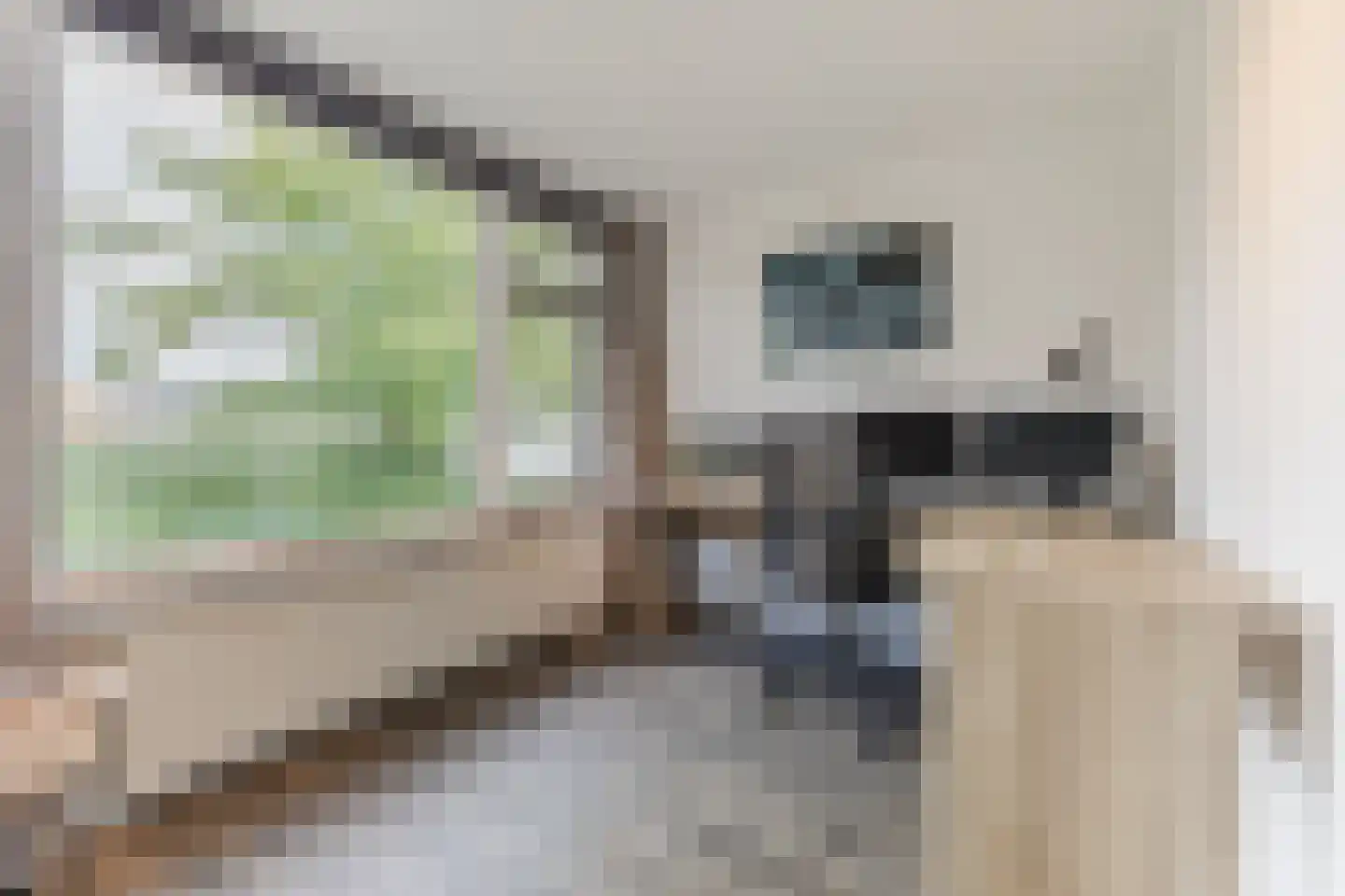 Nieuweweg 7 Oostvoorne thumbnail 29