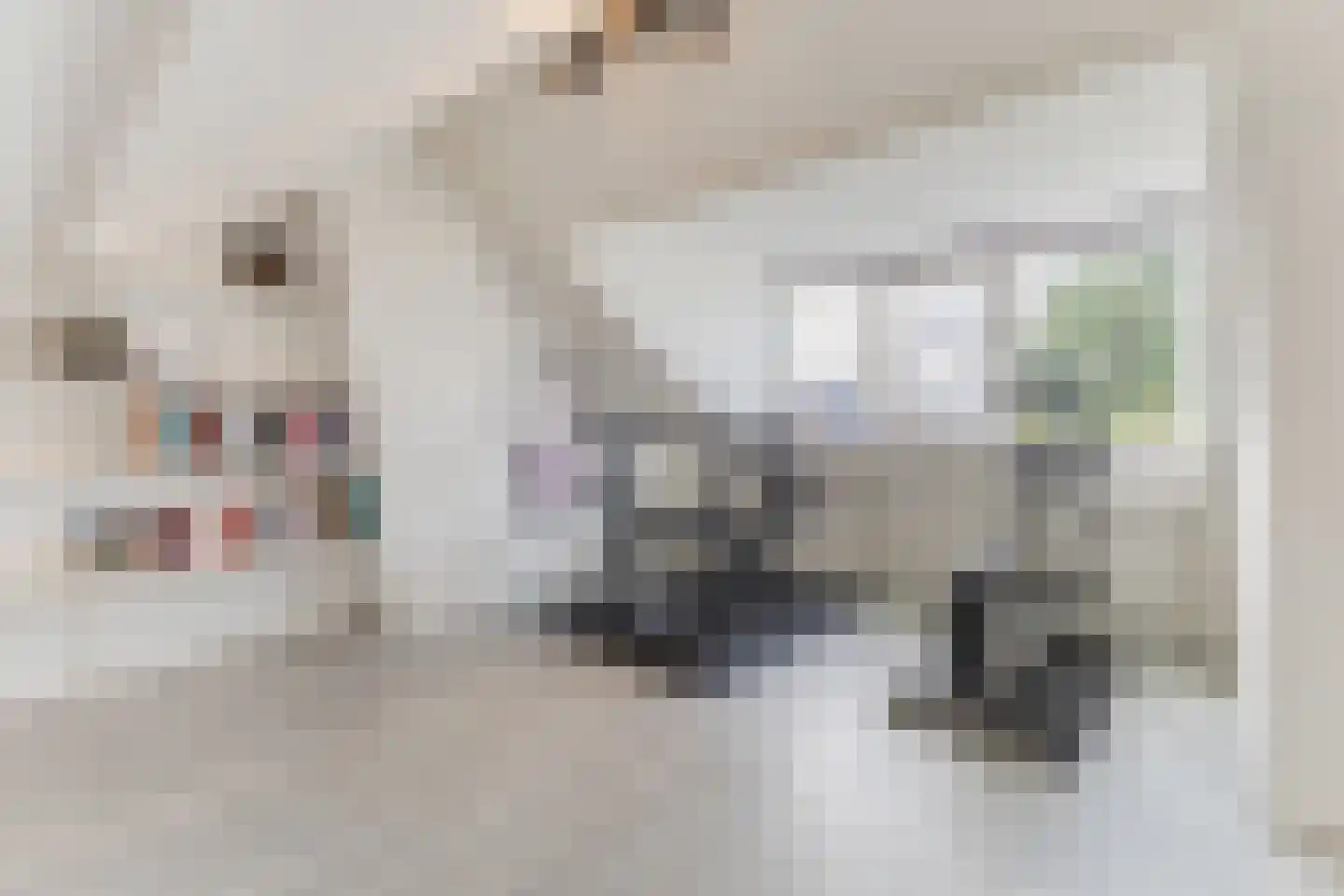 Nieuweweg 7 Oostvoorne thumbnail 36
