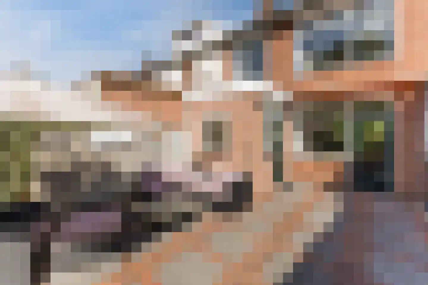 Nieuweweg 7 Oostvoorne thumbnail 39
