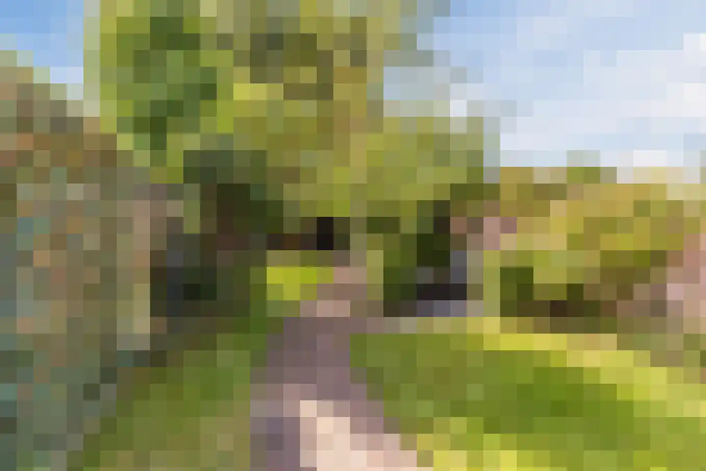 Nieuweweg 7 Oostvoorne thumbnail 4