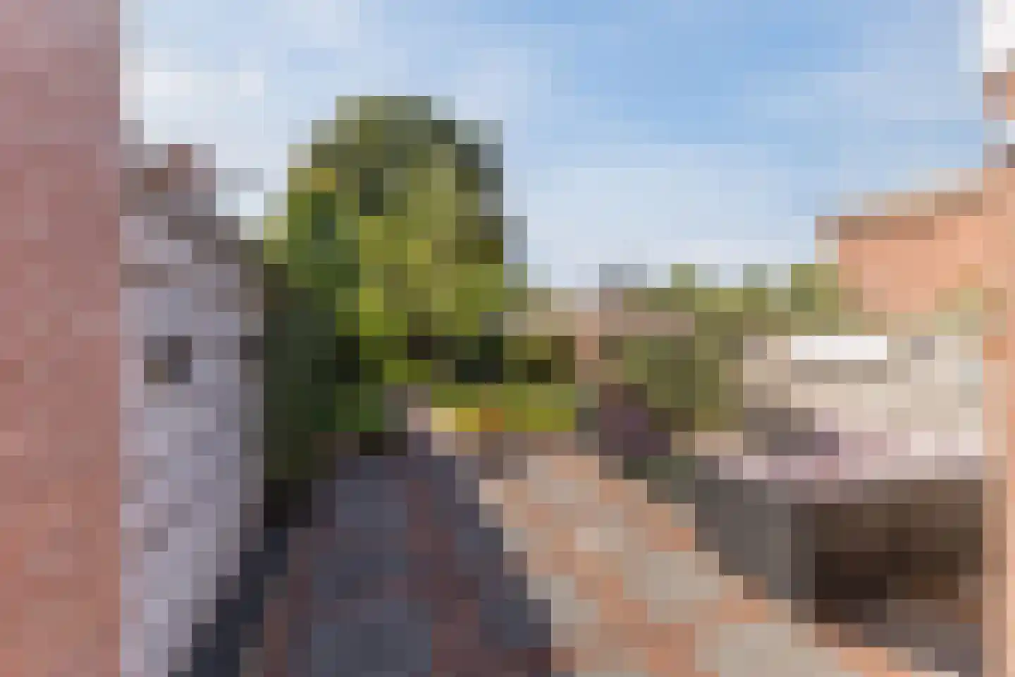 Nieuweweg 7 Oostvoorne thumbnail 40