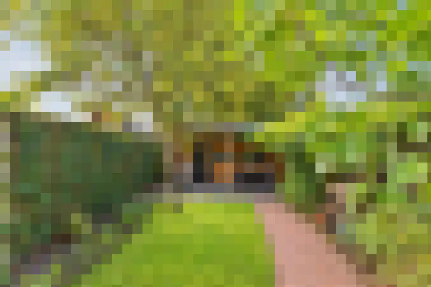 Nieuweweg 7 Oostvoorne thumbnail 41
