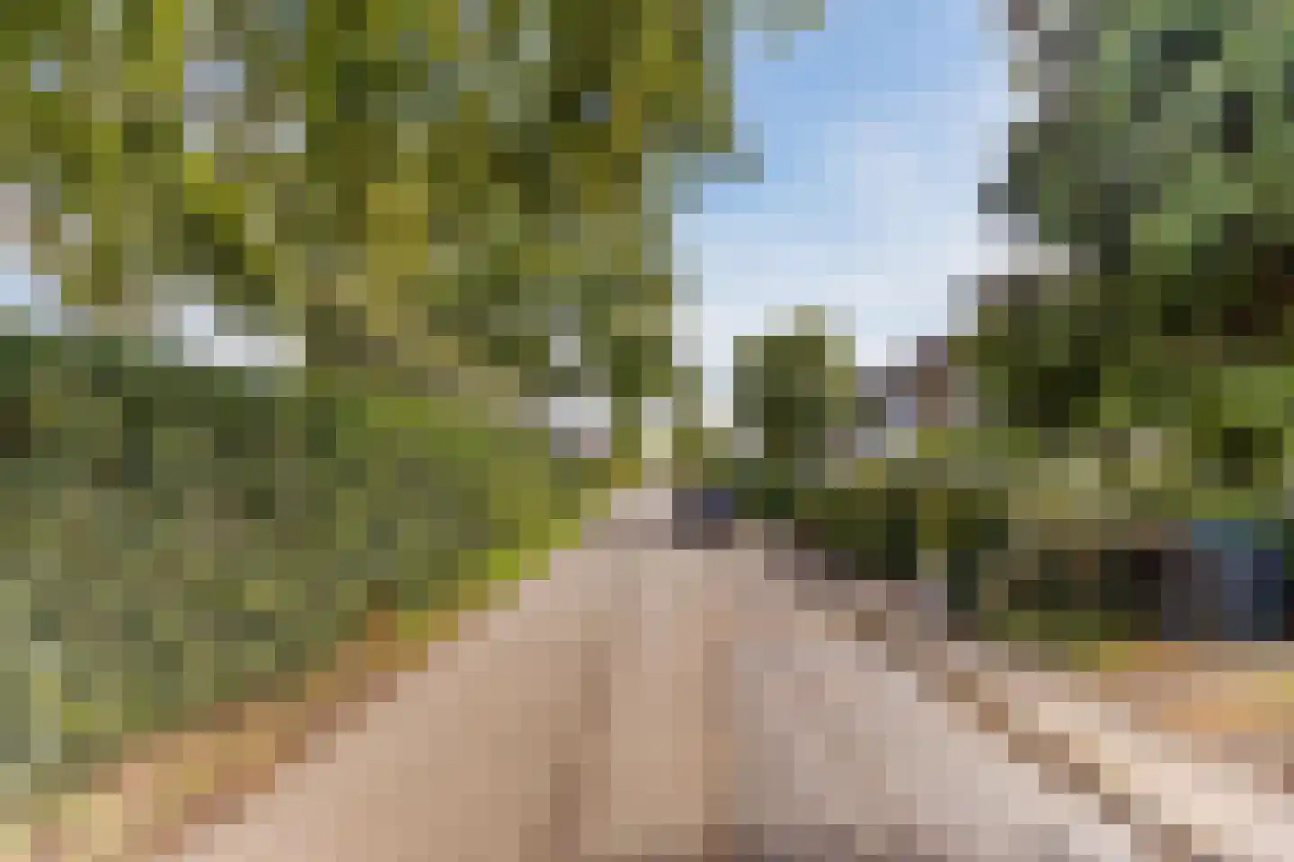 Nieuweweg 7 Oostvoorne thumbnail 44