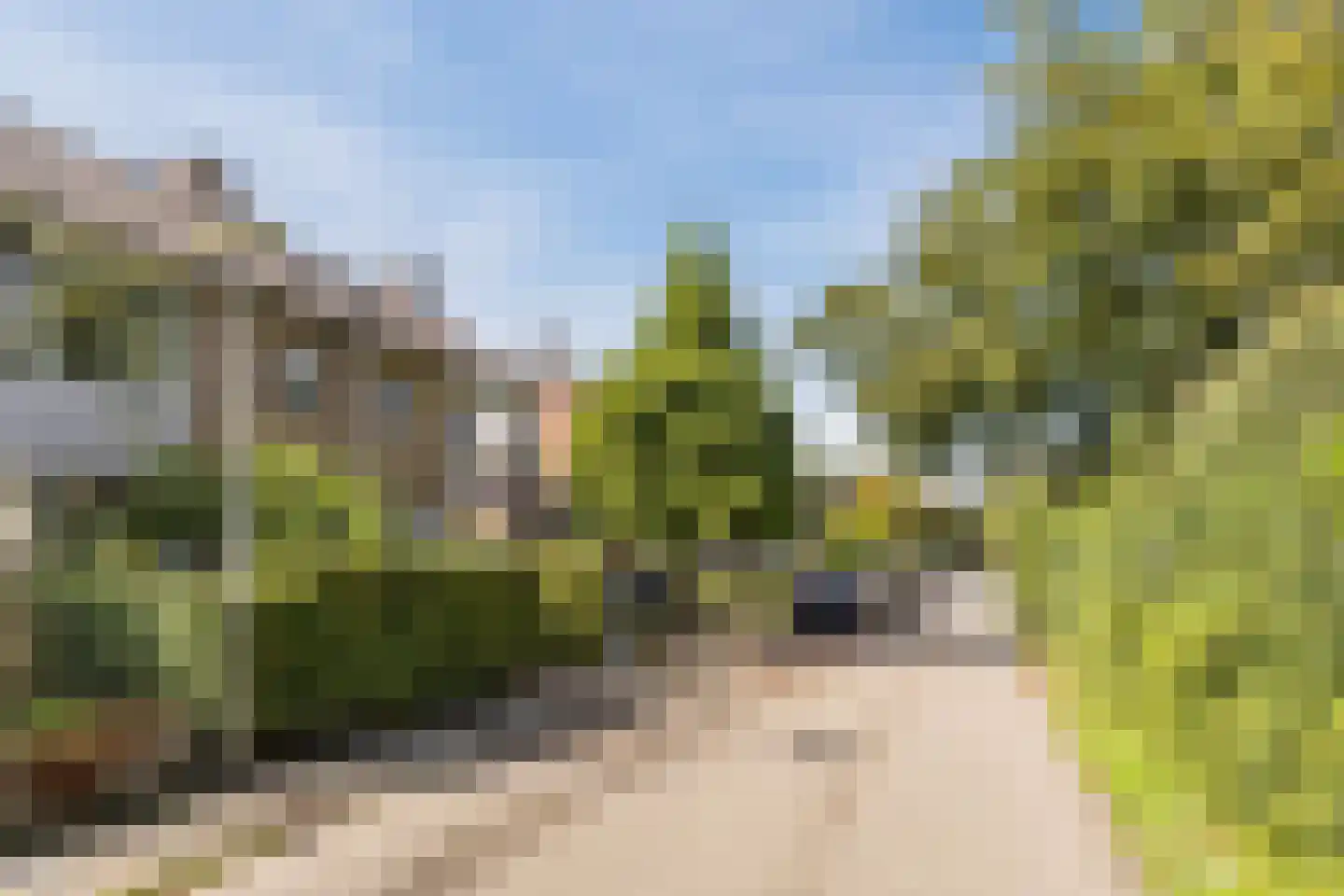 Nieuweweg 7 Oostvoorne thumbnail 6