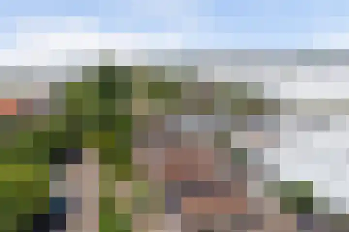 Nieuweweg 70 Honselersdijk thumbnail 37